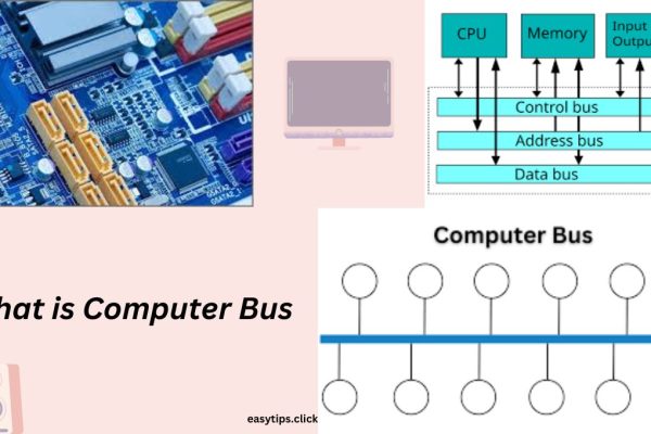 What is Computer Bus