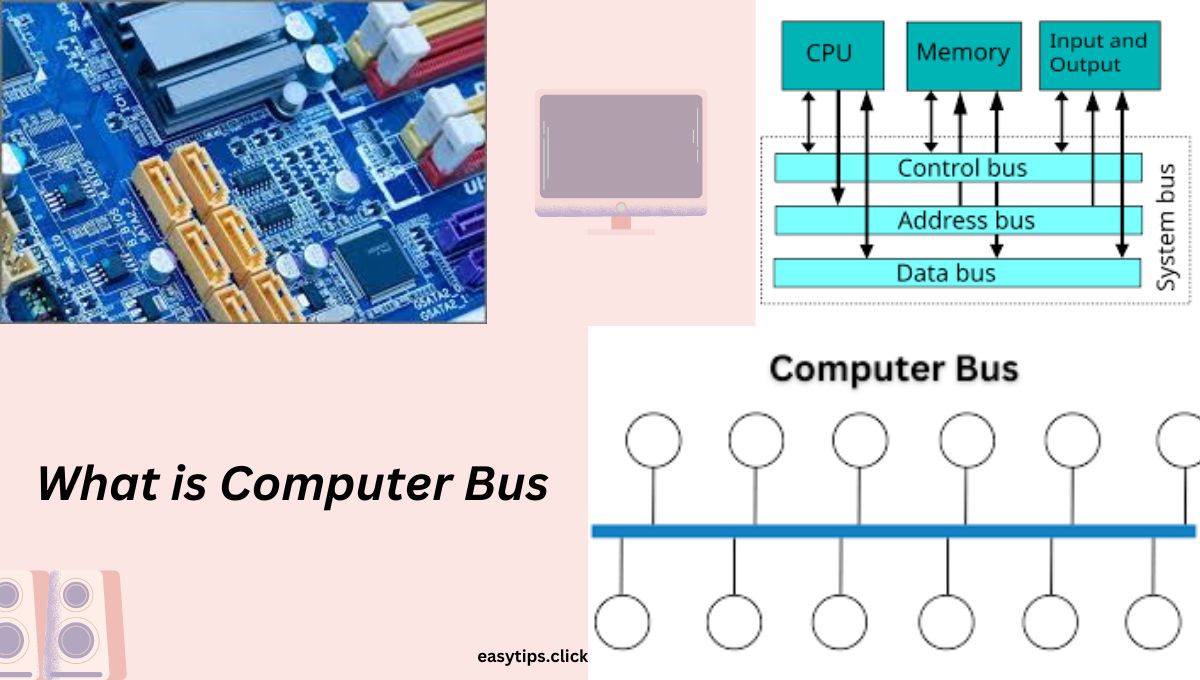 What is Computer Bus